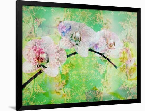 A Floral Montage, Layer Work from Blooming Flowers-Alaya Gadeh-Framed Photographic Print