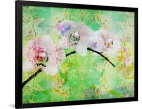 A Floral Montage, Layer Work from Blooming Flowers-Alaya Gadeh-Framed Photographic Print