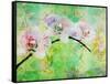 A Floral Montage, Layer Work from Blooming Flowers-Alaya Gadeh-Framed Stretched Canvas