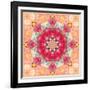 A Floral Montage, Layer Work from Pink and Red Poeny Blossoms and Pink Cherry Blossoms-Alaya Gadeh-Framed Photographic Print