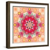 A Floral Montage, Layer Work from Pink and Red Poeny Blossoms and Pink Cherry Blossoms-Alaya Gadeh-Framed Photographic Print