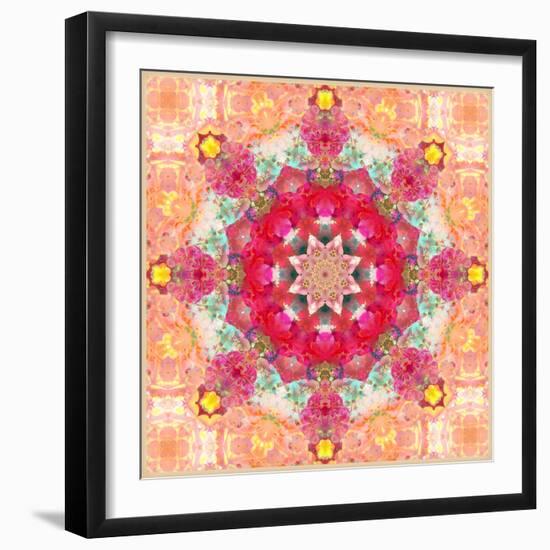 A Floral Montage, Layer Work from Pink and Red Poeny Blossoms and Pink Cherry Blossoms-Alaya Gadeh-Framed Photographic Print