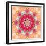 A Floral Montage, Layer Work from Pink and Red Poeny Blossoms and Pink Cherry Blossoms-Alaya Gadeh-Framed Photographic Print