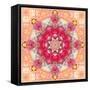 A Floral Montage, Layer Work from Pink and Red Poeny Blossoms and Pink Cherry Blossoms-Alaya Gadeh-Framed Stretched Canvas