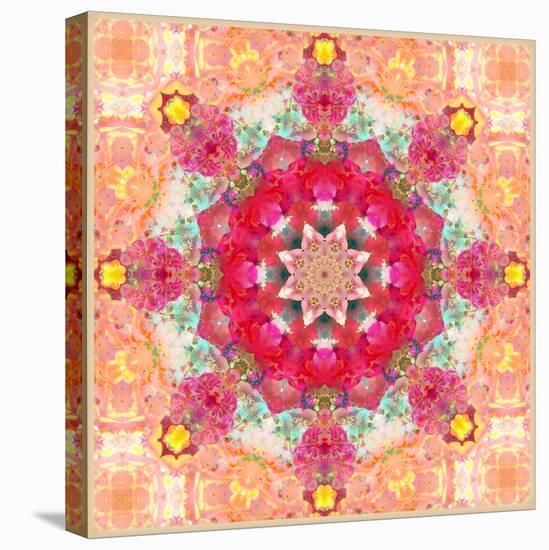 A Floral Montage, Layer Work from Pink and Red Poeny Blossoms and Pink Cherry Blossoms-Alaya Gadeh-Stretched Canvas