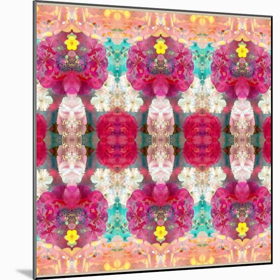 A Floral Montage, Layer Work from Pink and Red Poeny Blossoms and Pink Cherry Blossoms-Alaya Gadeh-Mounted Photographic Print