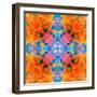 A Floral Montage, Mandala Symmetric Layer Work from Blooming Flowers-Alaya Gadeh-Framed Photographic Print