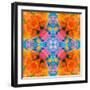 A Floral Montage, Mandala Symmetric Layer Work from Blooming Flowers-Alaya Gadeh-Framed Photographic Print