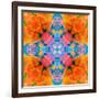 A Floral Montage, Mandala Symmetric Layer Work from Blooming Flowers-Alaya Gadeh-Framed Photographic Print