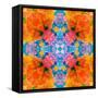 A Floral Montage, Mandala Symmetric Layer Work from Blooming Flowers-Alaya Gadeh-Framed Stretched Canvas