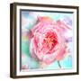 A Floral Montage of a Mallow and a Rose in Powerful Pastels, Photograph, Layer Work-Alaya Gadeh-Framed Photographic Print