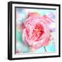 A Floral Montage of a Mallow and a Rose in Powerful Pastels, Photograph, Layer Work-Alaya Gadeh-Framed Photographic Print