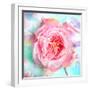 A Floral Montage of a Mallow and a Rose in Powerful Pastels, Photograph, Layer Work-Alaya Gadeh-Framed Photographic Print