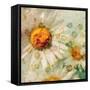 A Floral Montage of a Wild Daisy and Blossoms in Gentle Colors-Alaya Gadeh-Framed Stretched Canvas