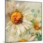 A Floral Montage of a Wild Daisy and Blossoms in Gentle Colors-Alaya Gadeh-Mounted Photographic Print