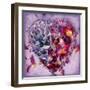 A Floral Montage of Gilliflowers on an Open Book-Alaya Gadeh-Framed Photographic Print