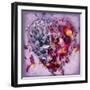 A Floral Montage of Gilliflowers on an Open Book-Alaya Gadeh-Framed Photographic Print