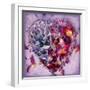 A Floral Montage of Gilliflowers on an Open Book-Alaya Gadeh-Framed Photographic Print