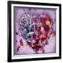 A Floral Montage of Gilliflowers on an Open Book-Alaya Gadeh-Framed Photographic Print