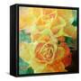 A Floral Montage of Yellow Roses and Ornamental Texture, Photograph, Layer Work-Alaya Gadeh-Framed Stretched Canvas