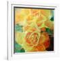 A Floral Montage of Yellow Roses and Ornamental Texture, Photograph, Layer Work-Alaya Gadeh-Framed Photographic Print