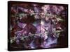 A Floral Montage on an Open Book-Alaya Gadeh-Stretched Canvas