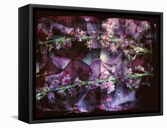 A Floral Montage on an Open Book-Alaya Gadeh-Framed Stretched Canvas