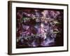 A Floral Montage on an Open Book-Alaya Gadeh-Framed Photographic Print