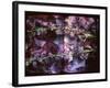 A Floral Montage on an Open Book-Alaya Gadeh-Framed Photographic Print