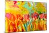 A Floral Montage, Photograph, Layer Work of Tulips and Other Flowers Multicolor-Alaya Gadeh-Mounted Photographic Print