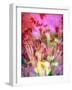 A Floral Montage, Photograph, Layer Work of Tulips and Other Flowers Multicolor-Alaya Gadeh-Framed Photographic Print