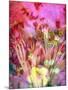 A Floral Montage, Photograph, Layer Work of Tulips and Other Flowers Multicolor-Alaya Gadeh-Mounted Photographic Print