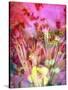 A Floral Montage, Photograph, Layer Work of Tulips and Other Flowers Multicolor-Alaya Gadeh-Stretched Canvas
