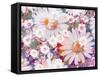 A Floral Montage Photographic Layer Work-Alaya Gadeh-Framed Stretched Canvas