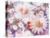 A Floral Montage Photographic Layer Work-Alaya Gadeh-Stretched Canvas