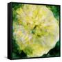 A Floral Montage Photographic Layer Work-Alaya Gadeh-Framed Stretched Canvas