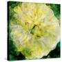 A Floral Montage Photographic Layer Work-Alaya Gadeh-Stretched Canvas