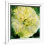 A Floral Montage Photographic Layer Work-Alaya Gadeh-Framed Photographic Print