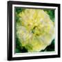 A Floral Montage Photographic Layer Work-Alaya Gadeh-Framed Photographic Print