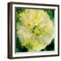 A Floral Montage Photographic Layer Work-Alaya Gadeh-Framed Photographic Print