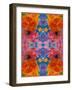 A Floral Montage, Symmetric Layer Work from Blooming Flowers-Alaya Gadeh-Framed Photographic Print