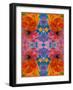 A Floral Montage, Symmetric Layer Work from Blooming Flowers-Alaya Gadeh-Framed Photographic Print