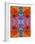 A Floral Montage, Symmetric Layer Work from Blooming Flowers-Alaya Gadeh-Framed Photographic Print