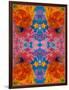 A Floral Montage, Symmetric Layer Work from Blooming Flowers-Alaya Gadeh-Framed Photographic Print