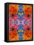 A Floral Montage, Symmetric Layer Work from Blooming Flowers-Alaya Gadeh-Framed Stretched Canvas