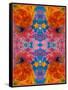 A Floral Montage, Symmetric Layer Work from Blooming Flowers-Alaya Gadeh-Framed Stretched Canvas