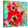 A Floral Montage with Anemones-Alaya Gadeh-Stretched Canvas