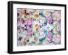 A Floral Montage with Daisies-Alaya Gadeh-Framed Photographic Print