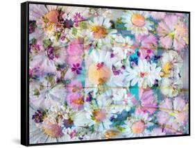 A Floral Montage with Daisies-Alaya Gadeh-Framed Stretched Canvas