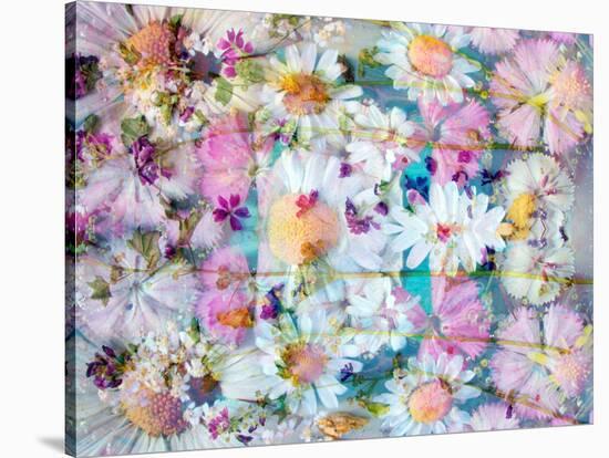 A Floral Montage with Daisies-Alaya Gadeh-Stretched Canvas